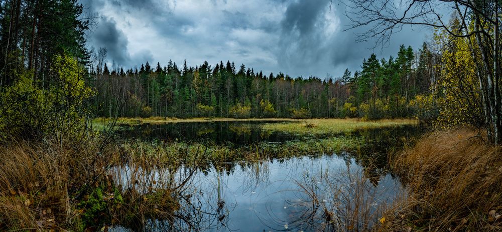 Photograph by Аркадий Старочкин