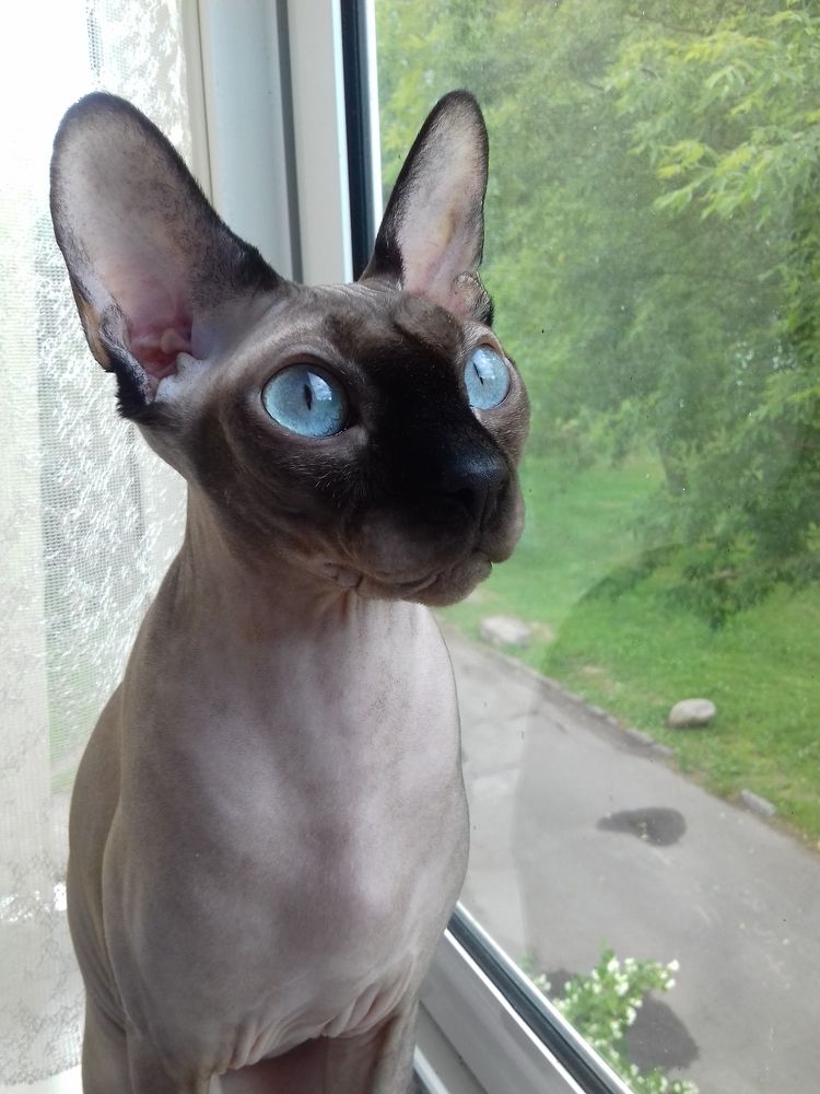 Photograph by Екатерина Познякова