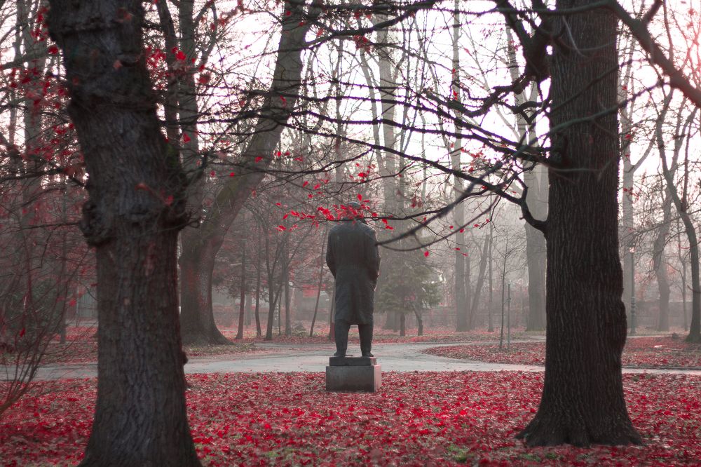 Photograph by Radoslav Bonev