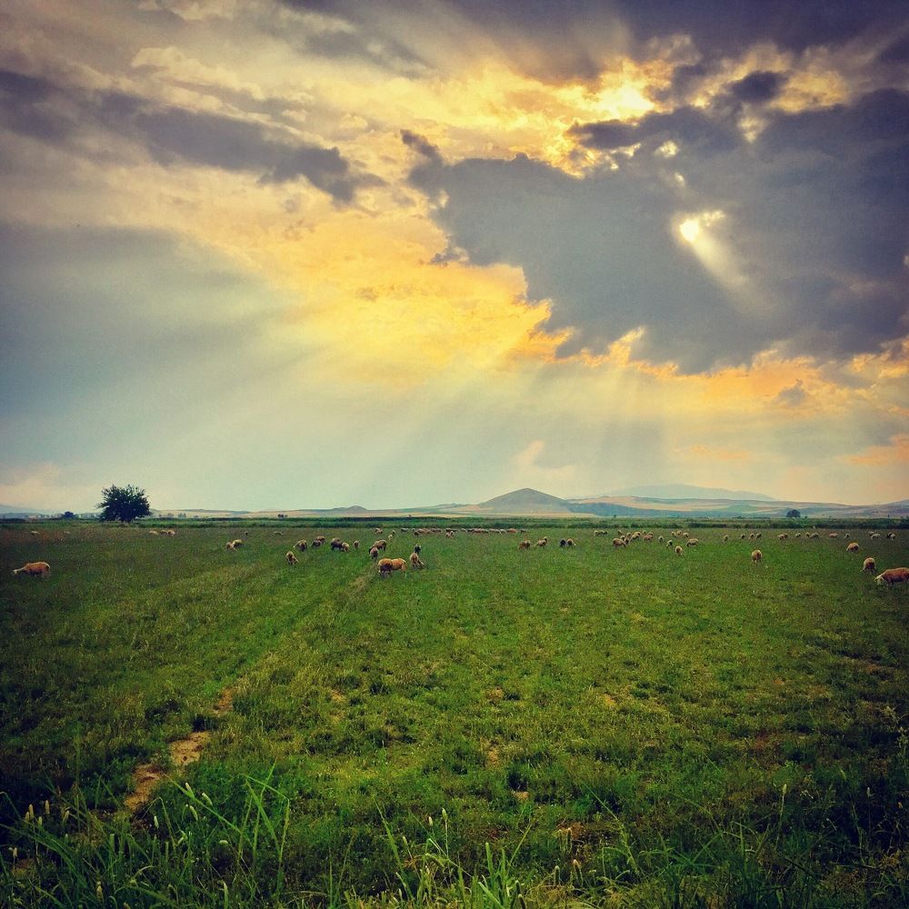 Photograph by Ahmet Aka