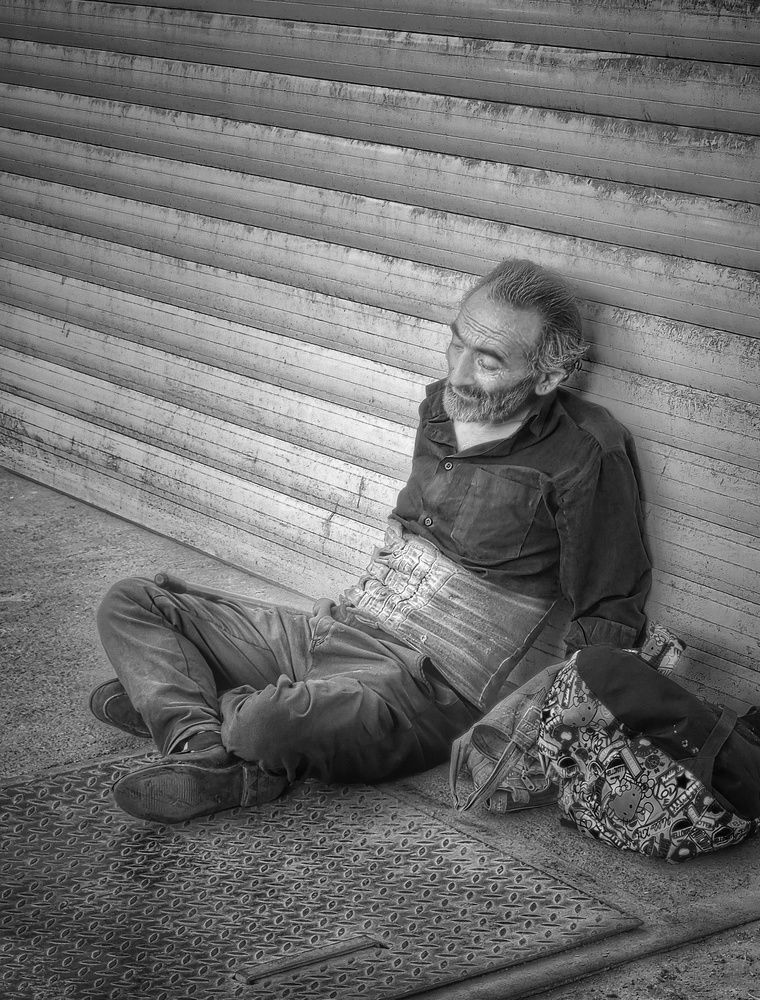 Фотография автора Zahra Seyedmorti