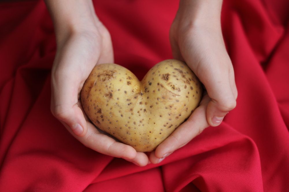 Photograph by Жанна