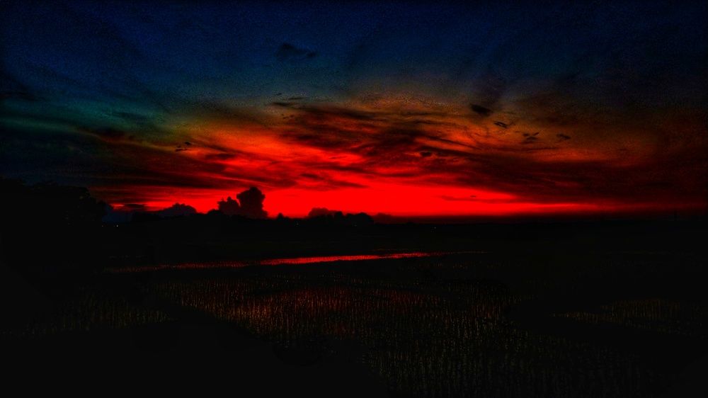The Red Enigma