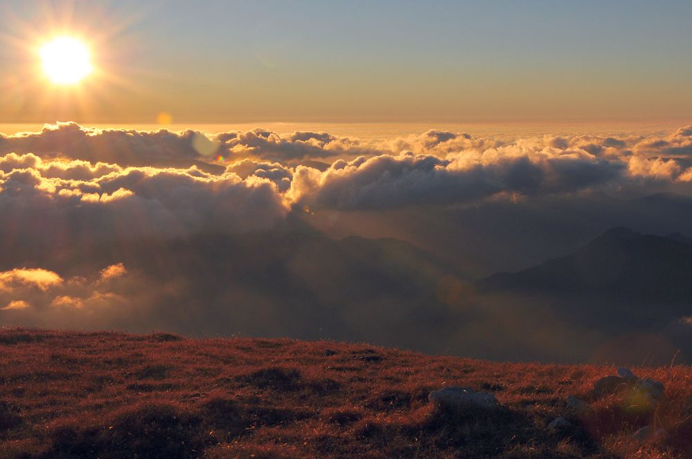 Photograph by Александр Глебов