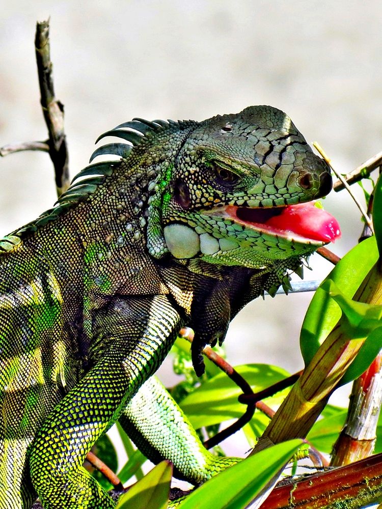 Photograph by Hilary McShine