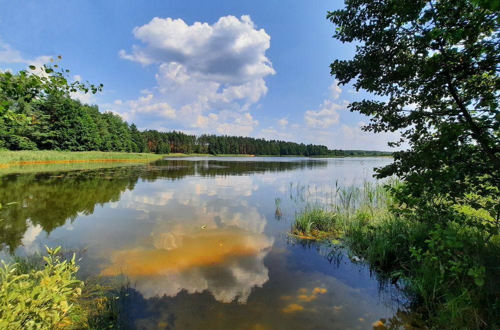 Озеро в летний жаркий день