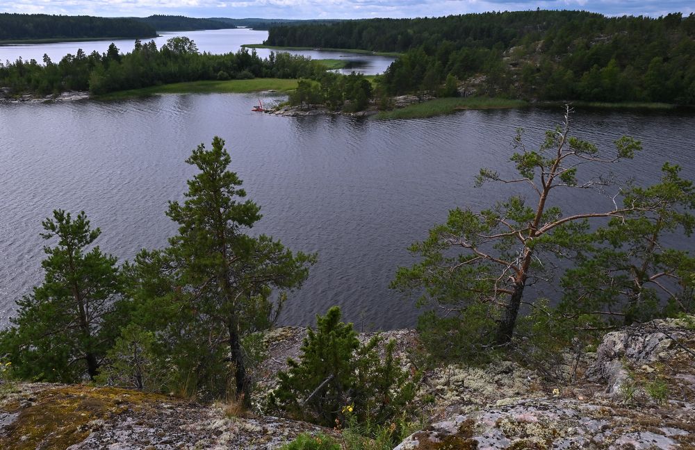 Photograph by Юлия Лис-а