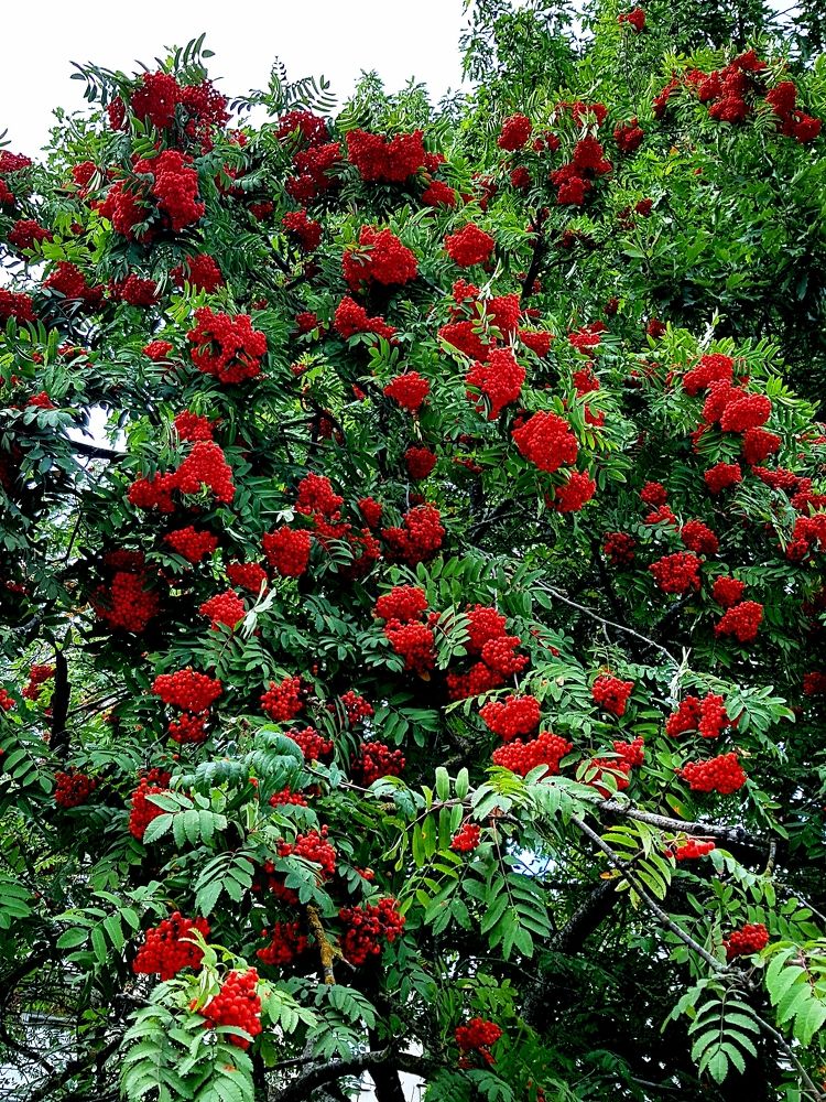 Photograph by Dmitrij Zykunov