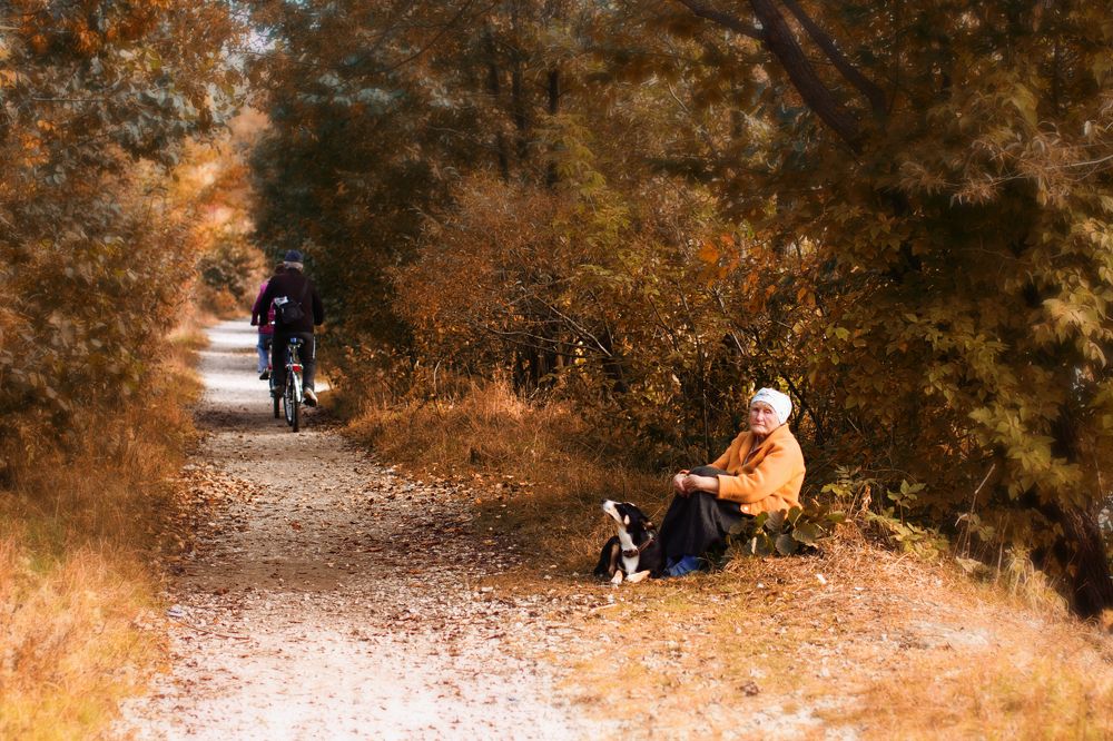 Photograph by Диана Александровна