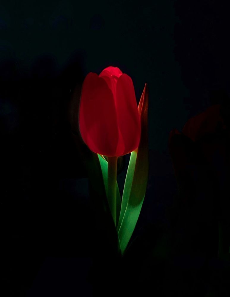 Photograph by Наталья Посашко