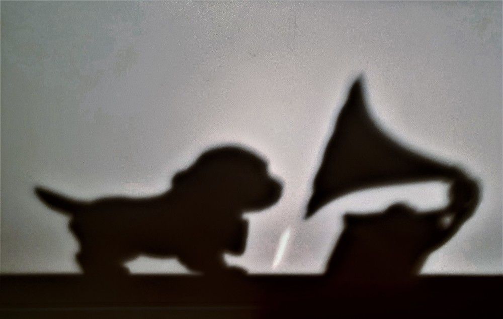 Photograph by Яна Гал