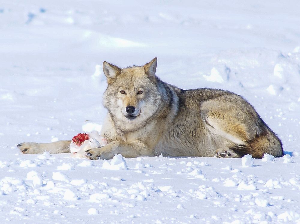 Photograph by Андрей Загребельный