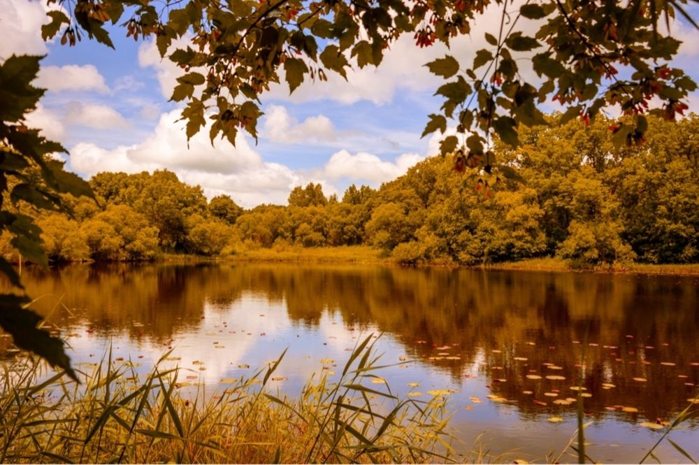 Photograph by Олег Волков