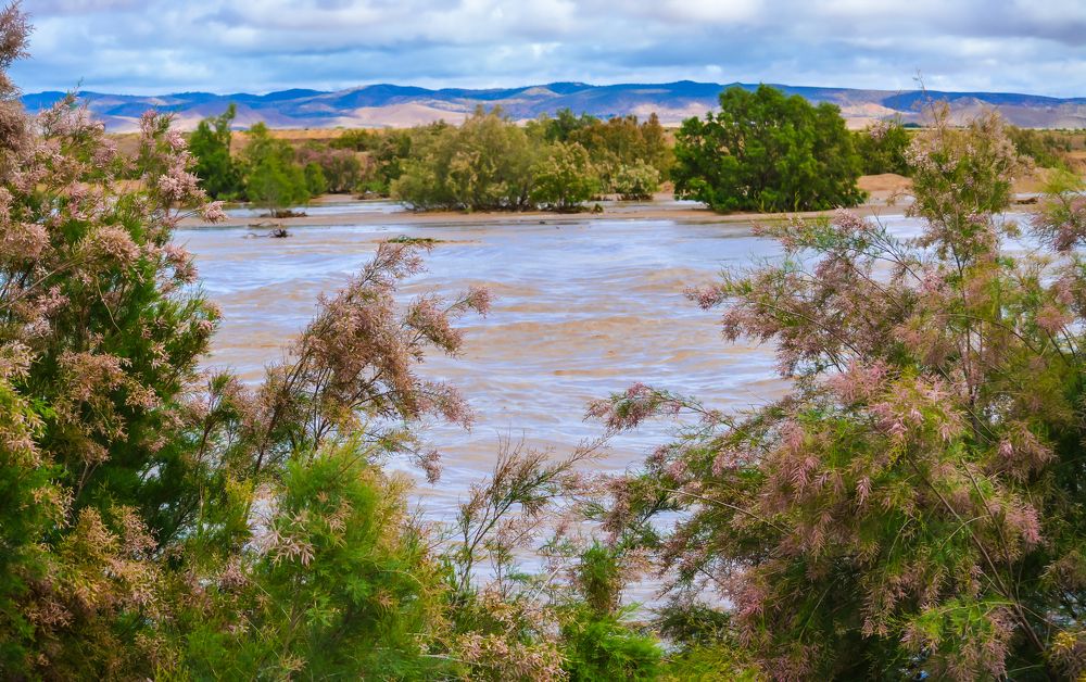 Photograph by Bachir Rabouh