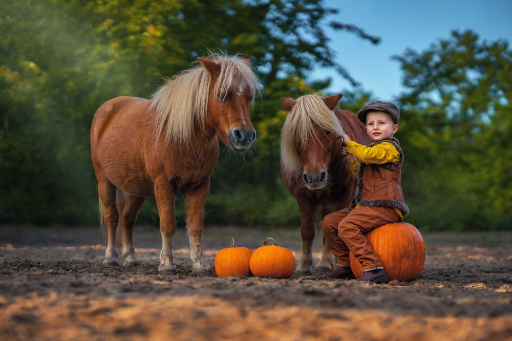 Фотография автора Kasia Kapała