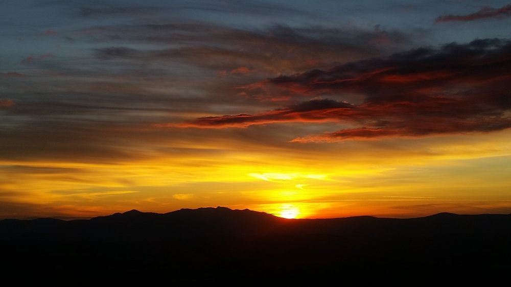 Photo #8389387