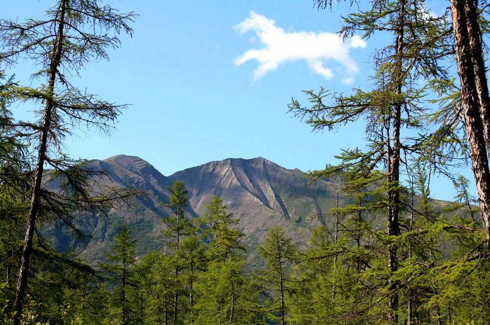 Photograph by Галина Искандарова