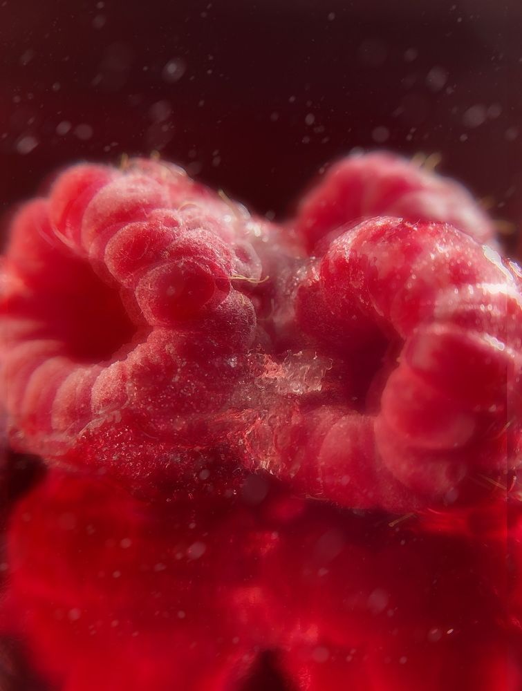 Photograph by Андрей Косяк