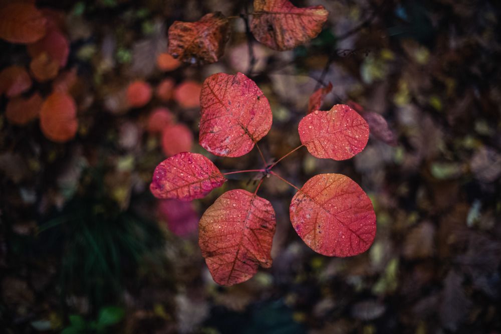 Photograph by Бабенко Филипп