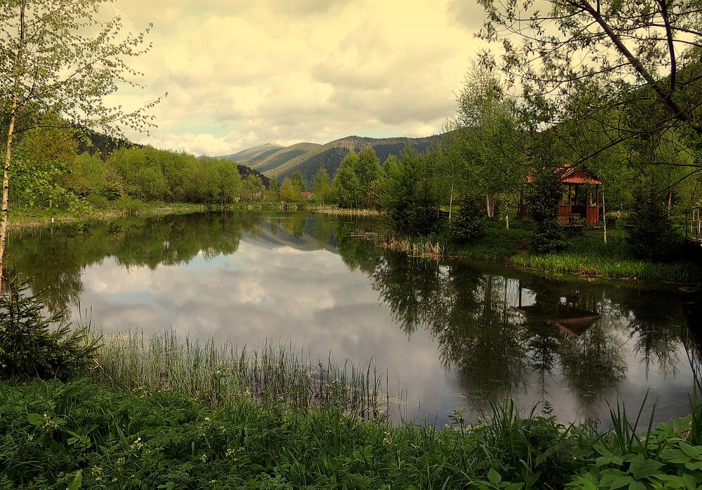 Фотография автора Роман Савоцкий