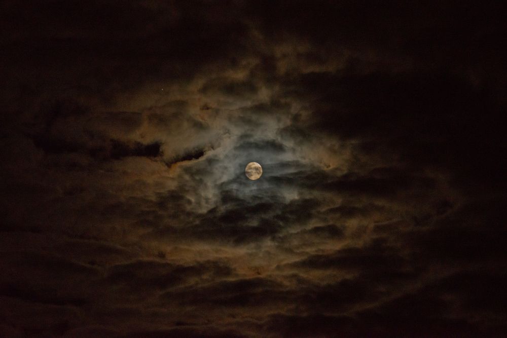 Фотография автора Татьяна Мазепова