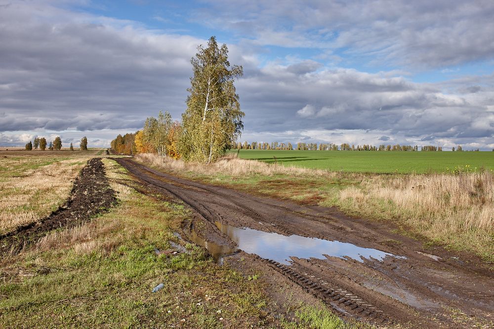 Фотография автора Еремин Александр