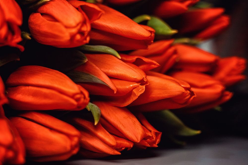 Photograph by EKATERINA WALTER