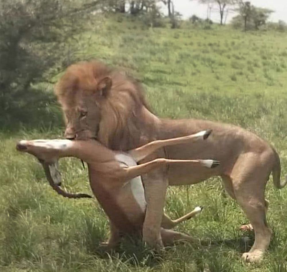 Photograph by Татьяна Мазепова