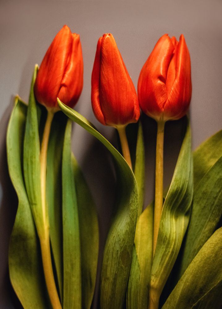 Photograph by EKATERINA WALTER