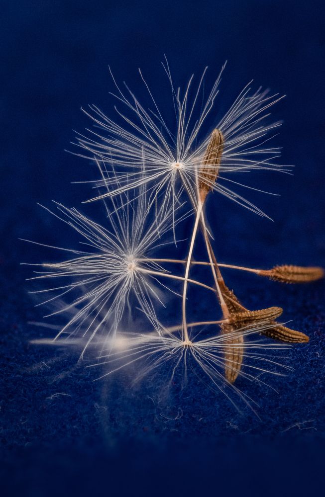 Photograph by Sandra Alvarez