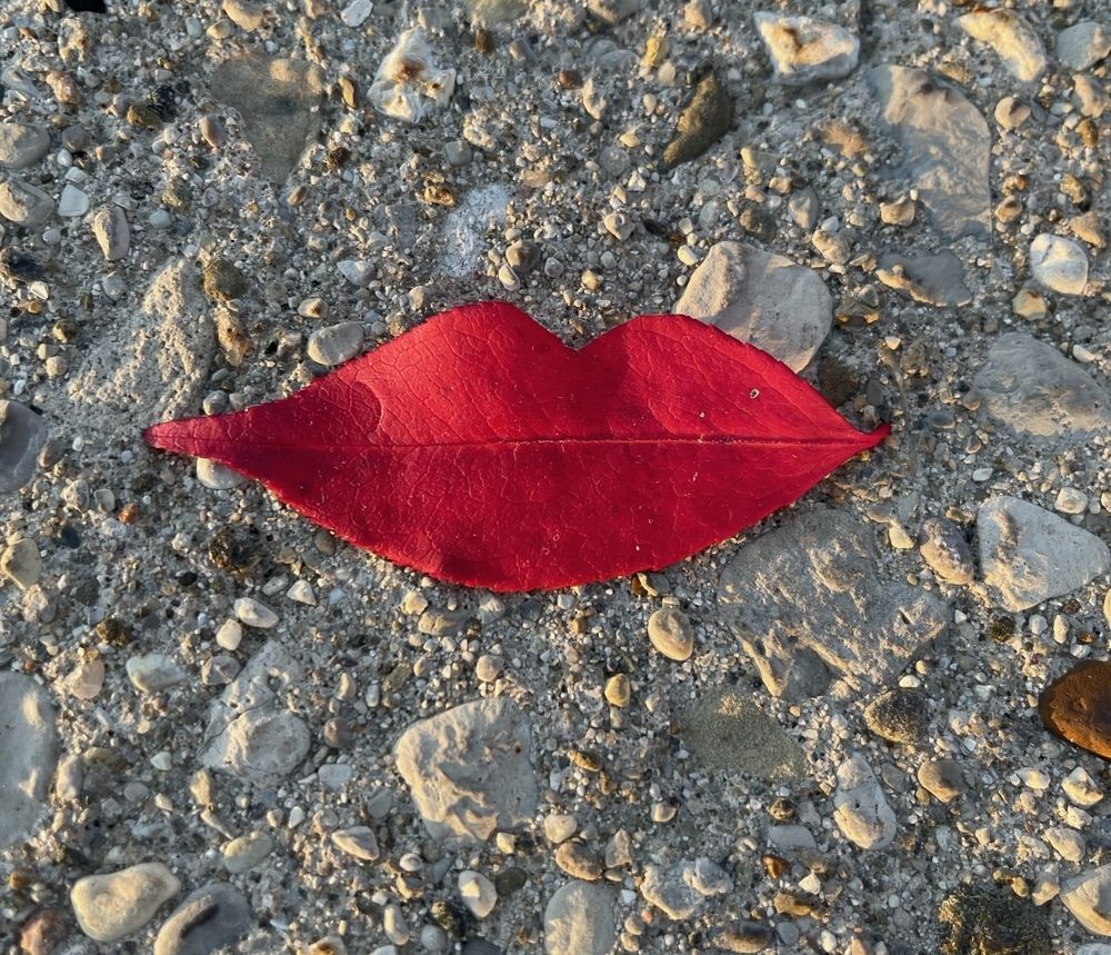 Photograph by Маргарита Венсил.