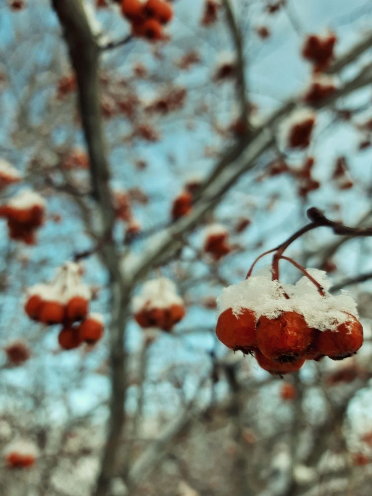 Photograph by Ксения Олина