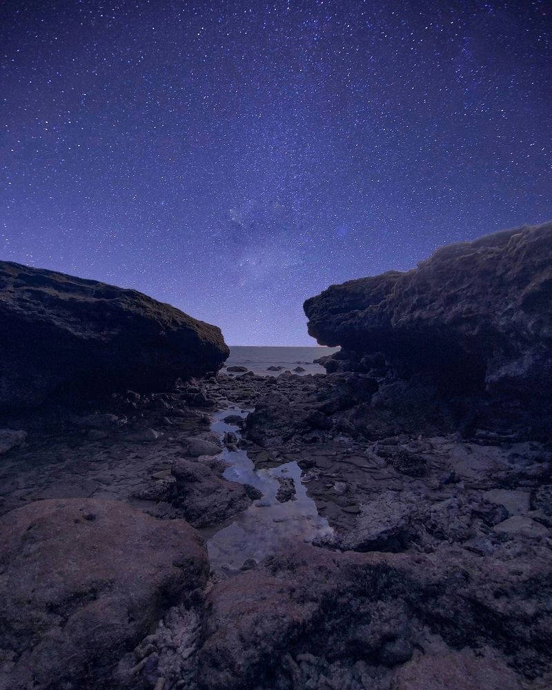 Photograph by VASHALE DEVI