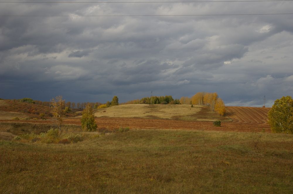 Photograph by Елена Алешкевич