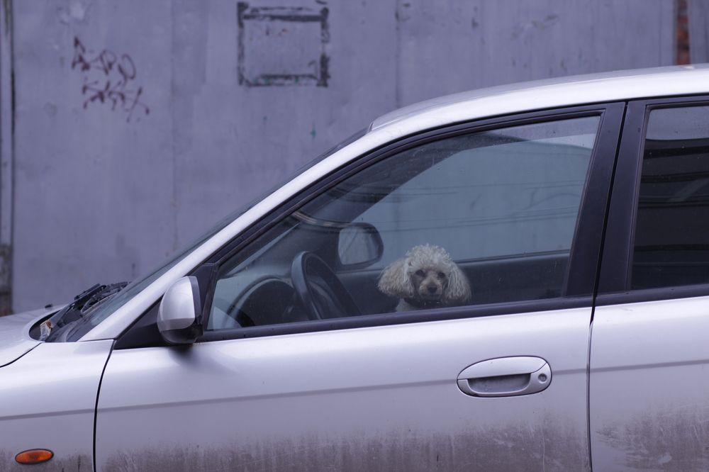 Photograph by Natalia Lapshina