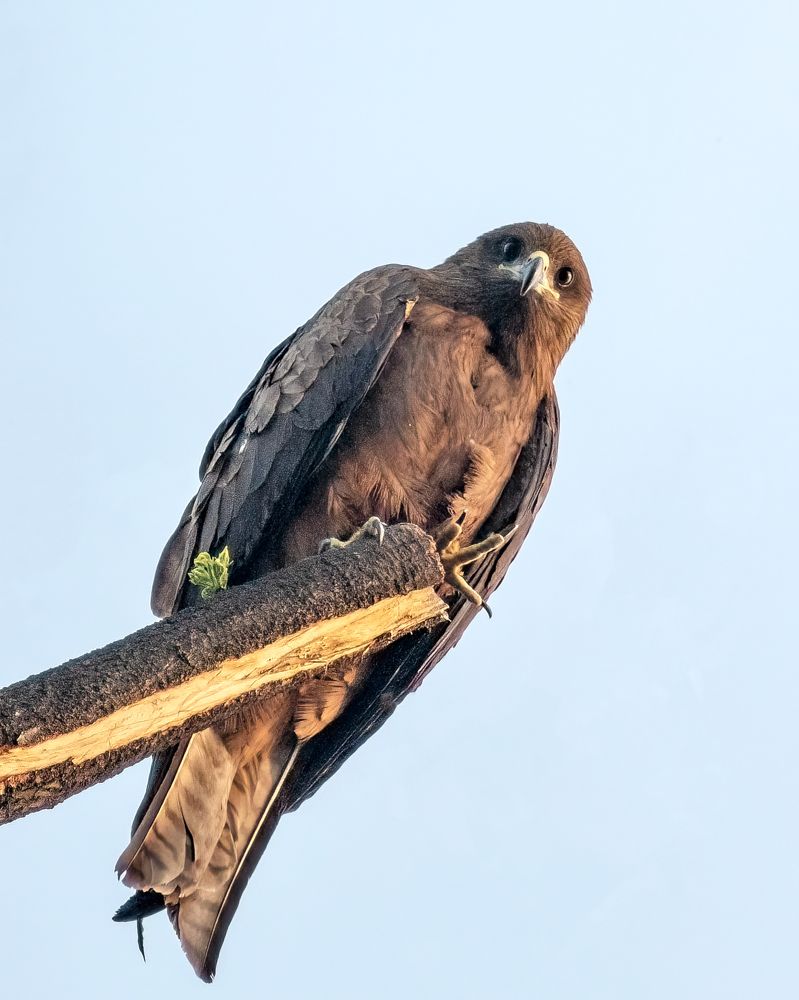 Photograph by Sourav Ganguli