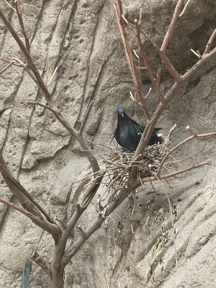 Фотография автора Sugandha