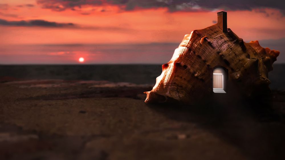 Photograph by Алексей Парамонов