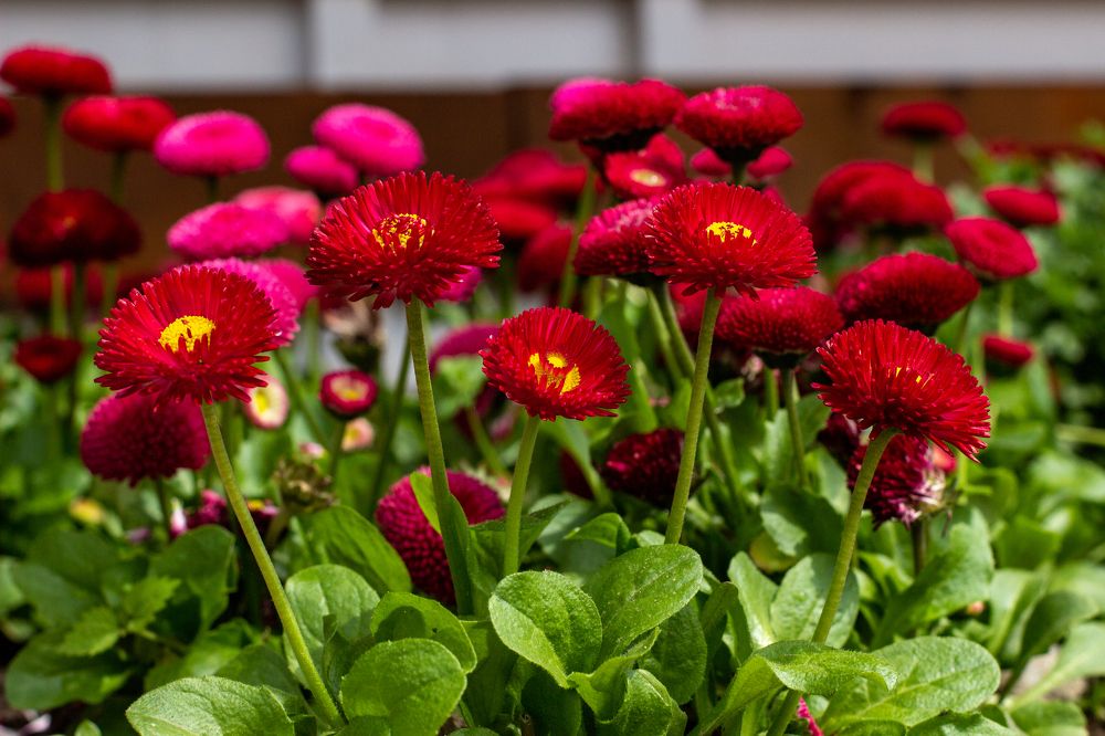 Photograph by Евгений Ермаков