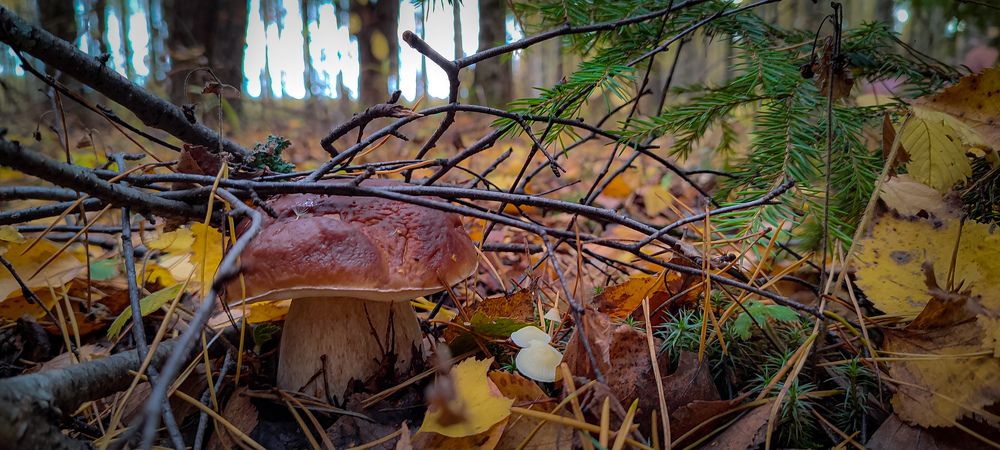 Photograph by Владимир Коновалов