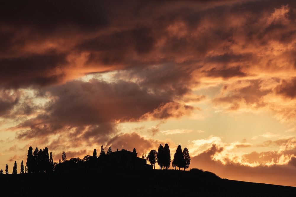 Photograph by Леонид Синев