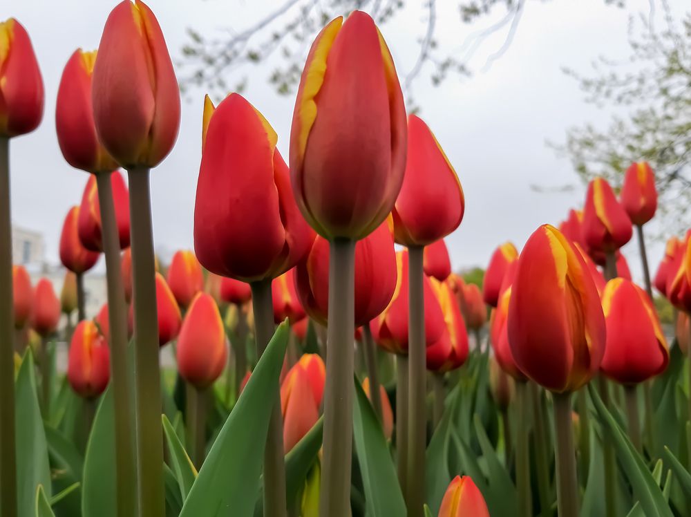 Фотография автора Светлана Дунаева