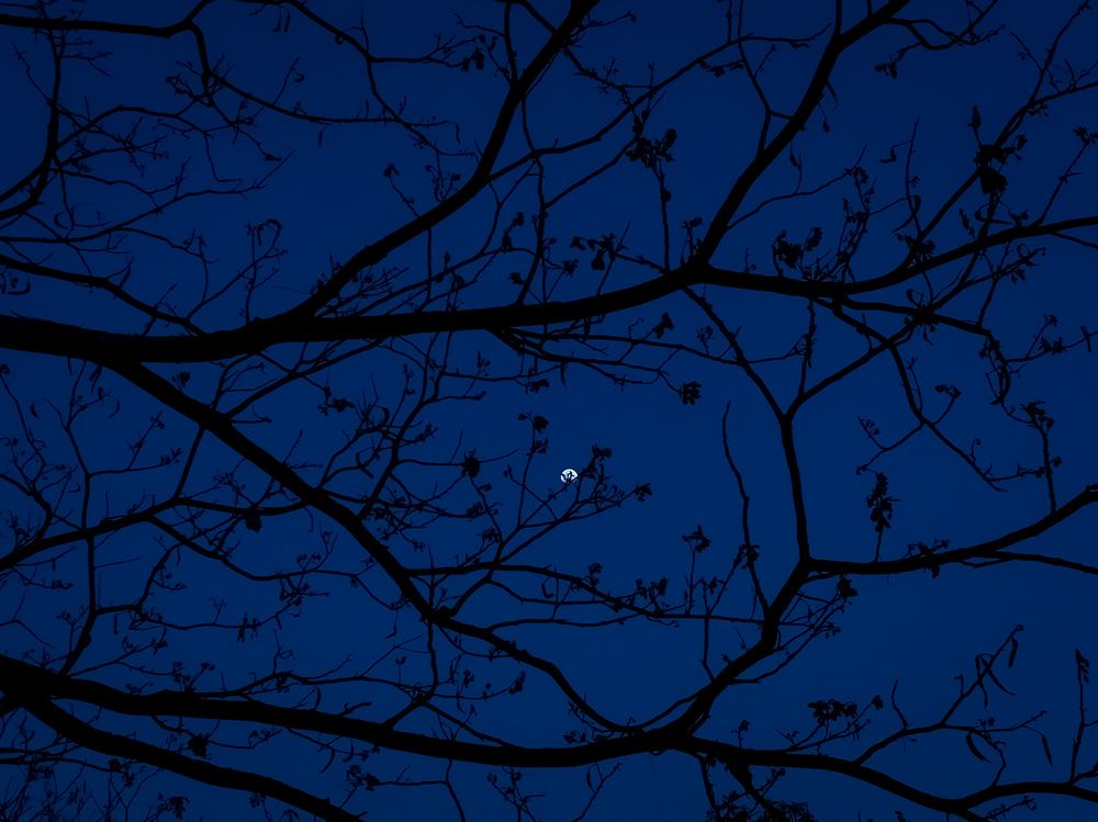 The Moon