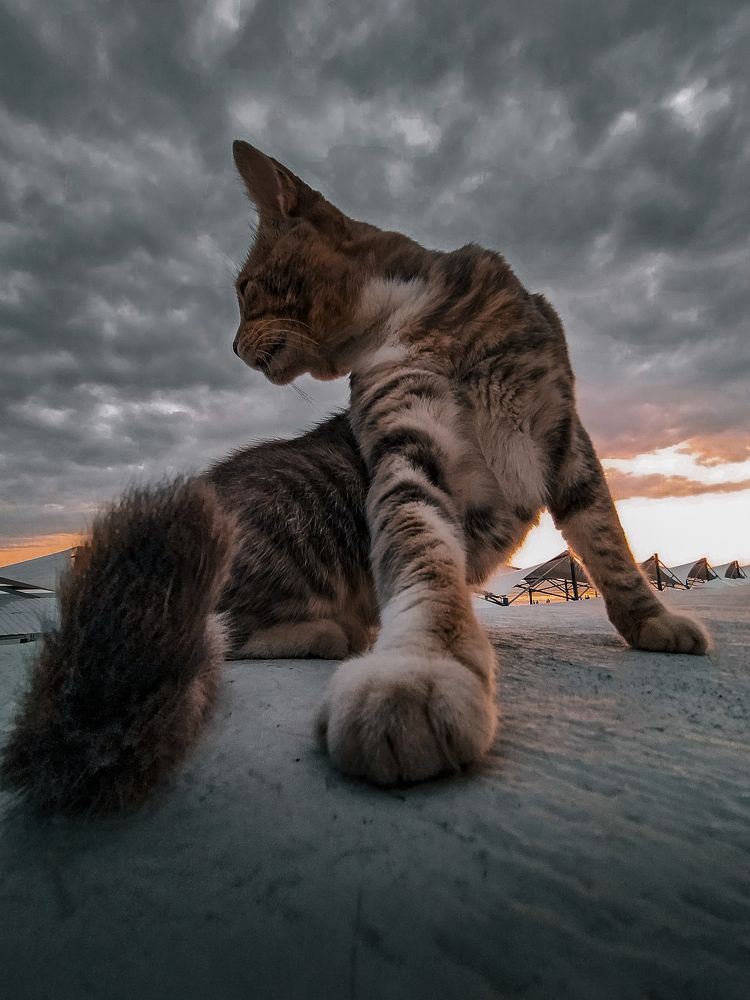 Photograph by Сергей Антонов