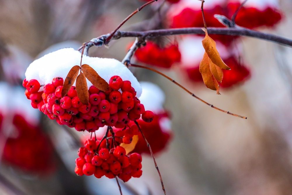 Photograph by Ирина Лисовец