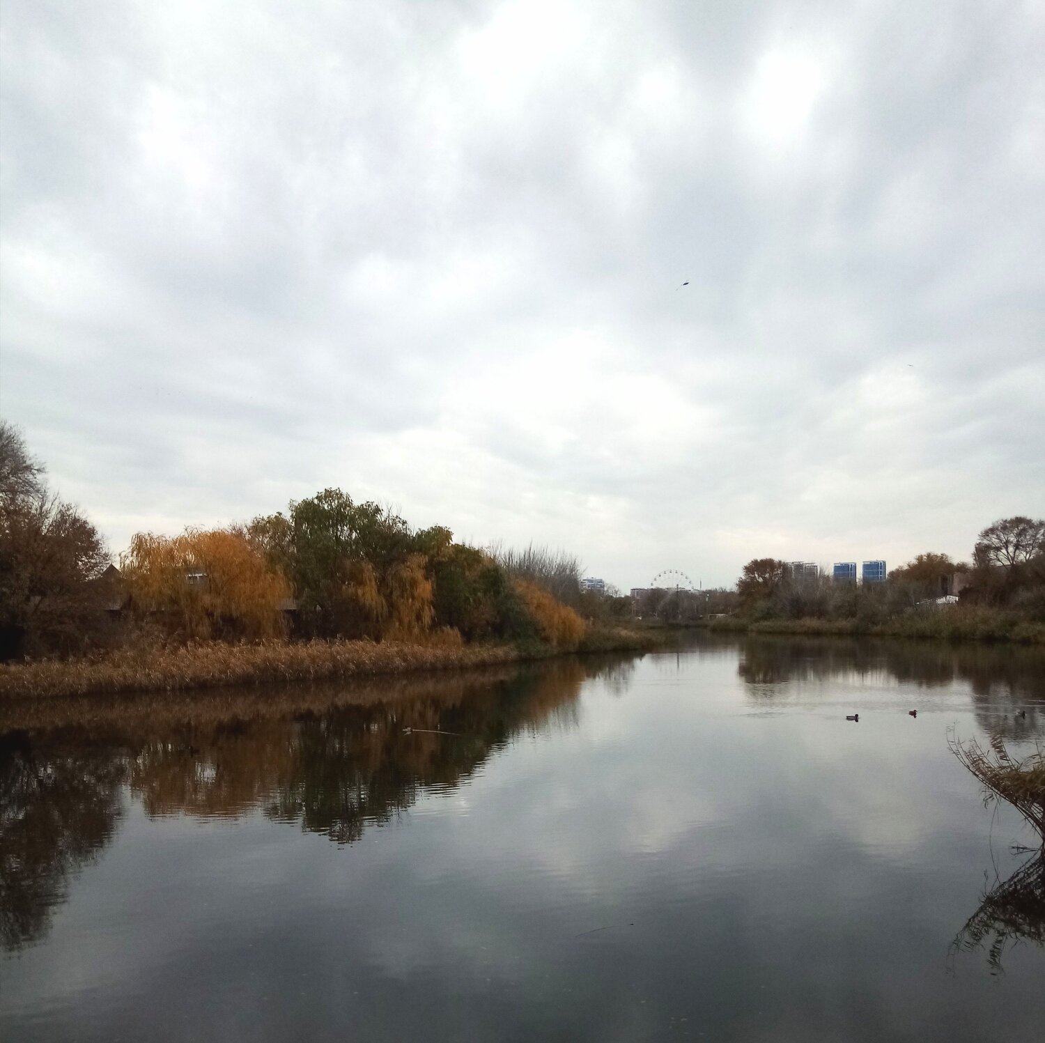 Photo #8390056