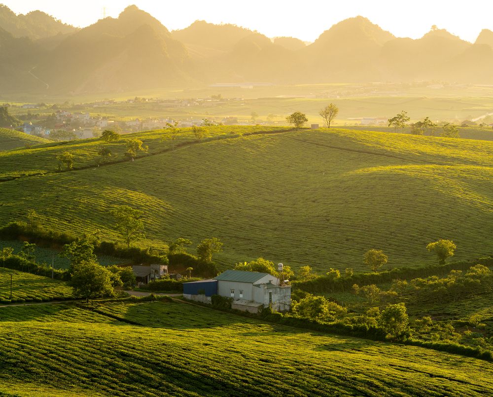 Photograph by MT-nguyen