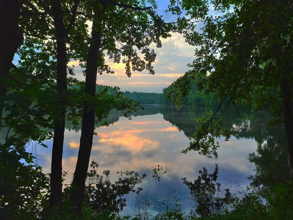 Photograph by Елена