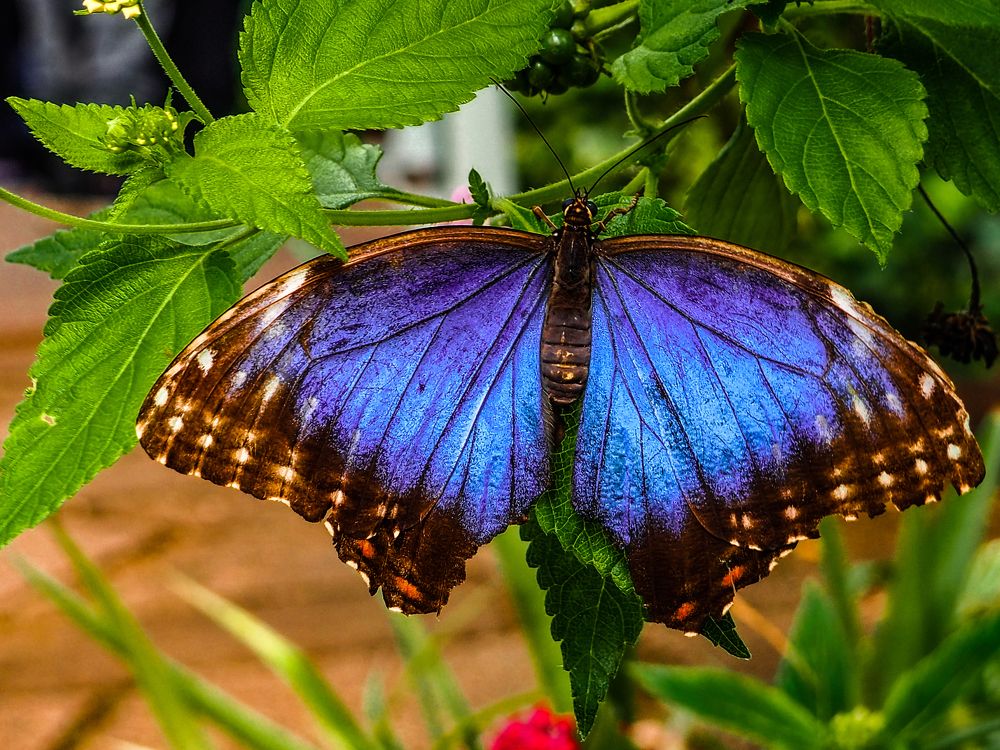 Photograph by Ivars Andrups