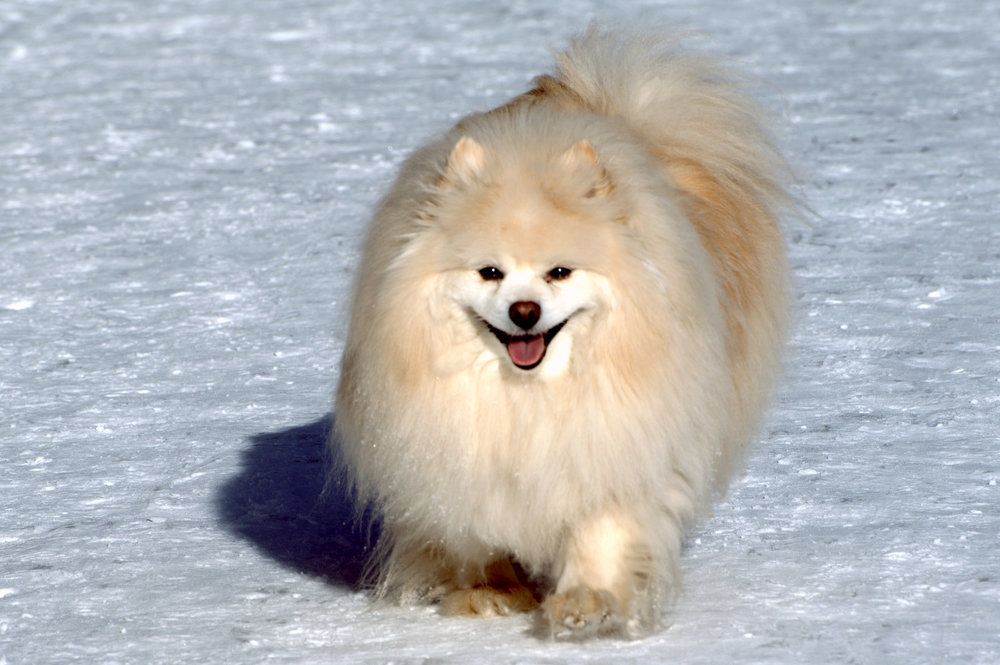 Когда движение в радость!